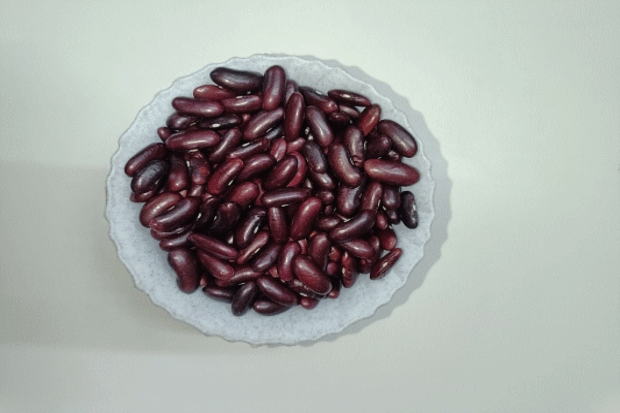 kidney bean